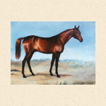 Jumpy Horse Wallpaper